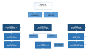 Organizational Chart Cfo Cfo