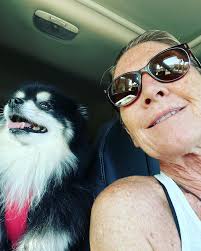 Stacy Shepherd (@yogistacydfw) • Instagram photos and videos