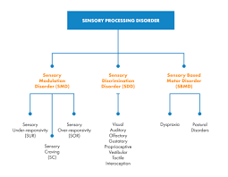 The Ultimate Guide To Sensory Processing Disorder Harkla Blog