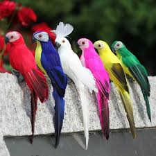 Image result for parrot