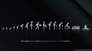 Maybe you would like to learn more about one of these? 2560x1440 Funny Wallpapers Top Free 2560x1440 Funny Backgrounds Wallpaperaccess