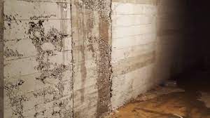 Binanin bodrumunundan cikan su su kacagi nem rutubet nasil onlenir kanal ariza cozumleri kanal acma logar acma geri tepme kot farki su basmasi lagim gideri tunel kuyu logar isleri ustasi. Bodrum Kat Icten Su Nem Rutubet Izolasyonu Youtube