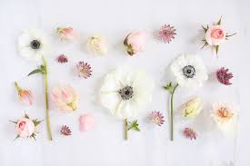 Digital Blooms February 2018 Springdesktopwallpaper Digital Blooms Feb Floral Wallpaper Desktop Flower Desktop Wallpaper Computer Wallpaper Desktop Wallpapers