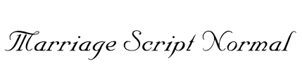 We downloaded a pretty script font online and used mail merge, then printed all the envelopes with addresses for less than $2. Marriage Script Normal Font Ffonts Net