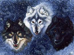 The only right place to download wolf wallpapers in 4k(ultra hd) full free for your desktop backgrounds. Wolf Fantasy Wallpapers Group 82