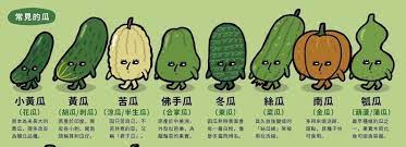 1.擺上餡兒,邊緣抹水 2.上下中心點捏緊 3.右三折 (後方的餃子皮不動,只拉動前方的餃子皮) 4.左三折,捏緊 (後方的餃子皮不動,只拉動. Facebook