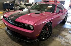 Image result for Furious Fuchsia 2010 Challenger