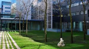 In de organisatie werk ik samen met de volgende deskundigen Unser Team Institut Francais D Allemagne