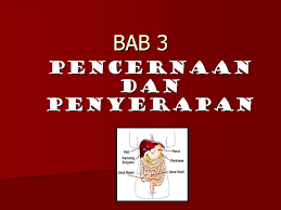 Sains tingkatan 3 bab 5 termokimia. Bab 3 Pencernaan Dan Penyerapan Ekonomi Rumah Tangga Tingkatan 5