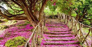 Der botanische garten funchal portugiesisch jardim botânico da madeira engº rui vieira benennung seit 2011 zuvor jardim botânico do funchal in funchal auf madeira portugal ist eine parkanlage mit exotischen pflanzen. Facettenreiches Madeira Die Top Sehenswurdigkeitender Sonnenklar Tv Reiseblog