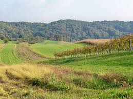 Slatina este un municipiu și reședința județului olt , regiunea oltenia , românia. Chinese Investors Plan Geothermal Plant In Slatina Croatia Thinkgeoenergy Geothermal Energy News
