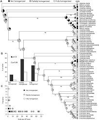 Image result for Urochloa leersioides