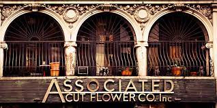 Associated cut flowerassociated cut flowerassociated cut flower. The After Hours Flowers New York Wholesale Flower Markets