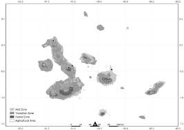 Image result for Kyllinga robinsoniana