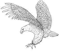 Shop online for sewing supplies, crafting products, art materials and more at. Free Printable Bald Eagle Coloring Pages For Kids