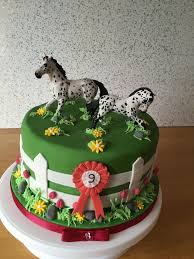 Appaloosa Fence And Grass 9th Birthday Cake Anniversaire Patisserie Recette
