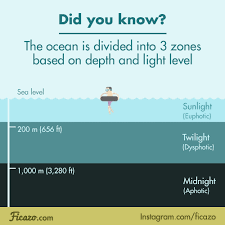 Https Encrypted Tbn0 Gstatic Com Images Q Tbn 3aand9gcrzyzrlrqakqal Fevspu4uq8vpp 3y2ggsua Usqp Cau