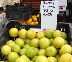 Now the quest to 30% for high thc strains has been achieved. Limes Why Are There No Seeds Jughandle S Fat Farm