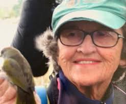 10 of the most interesting birds you'll see in Colorado