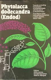 Image result for Phytolacca dodecandra