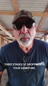 Facebook Jose E. Barrera Sr. (@gamefowlheritageandtrad)’s videos with  original sound