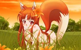 Hintergrundbilder : Illustration, Anime Mädchen, Holo, Gewürz und Wolf,  Okamimimi, nackt, Wolfsmädchen, Blume, Computer-Tapete 1440x900 -  microcosmos - 325489 - Hintergrundbilder - WallHere