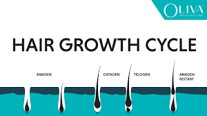 While if you want to how long does it take hair to grow an inch, it requires a 2 to 3 months period of time. Natural Hair Growth Cycle Explainer Video On Anagen Catagen Telogen Phases Youtube