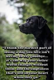 I Think The Hardest Part Of Losing A Dog Dog Quotes Losing A Dog Dogs