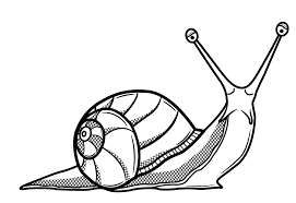Check spelling or type a new query. Picture Of A Snail Coloring Home
