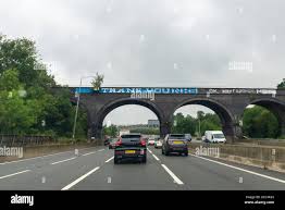 Image result for give peas a chance m25