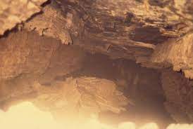 The interactive map provides the locations and types of active mining operations for coal and industrial minerals across the state of ohio. Mine Subsidence In Ohio