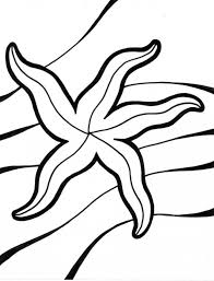 Free printable starfish coloring pages. Starfish Pictures For Kids Coloring Home