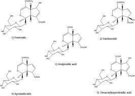 Image result for Feretia