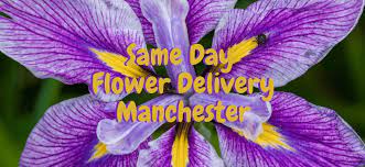 Order flowers online 24 hours a day, 7 days a week. 9 Best Options For Same Day Flower Delivery In Manchester Flower Delivery Reviews