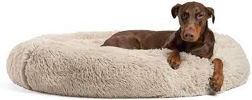Maybe you would like to learn more about one of these? Best Dog Beds For Large Dogs Veterinarians Org