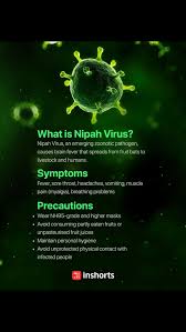 It's a major concern because there's nipah virus is in their top 10. What Is Nipah Virus Niv What Is Its Origin And Carrier How Has It Spread What Are The Symptoms What Are The General Preventive Measures To Be Taken Quora