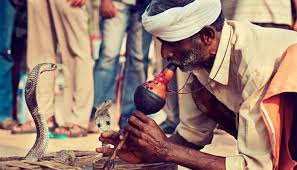 Music from Indian snake charmers flute may boost preemies brain ...