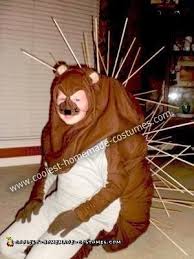 I can't believe i've never thought. Coolest Homemade Playful Porcupine Costume