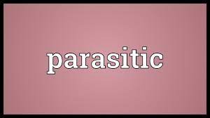 Parasitic Meaning Youtube