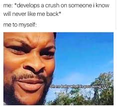 Laughing So Hard Memes About Crush Crush Turtle Memes Crush Memes Funny Crush Memes Relationship Memes