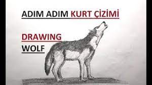 Kurt Cizimi Karakalem Ile Kolay Kurt Cizimi Kurt Resmi Cizimi Youtube Basit uluyan kurt cizimleri.kurt cizimleri basit. kurt cizimi karakalem ile kolay kurt
