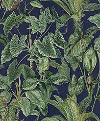 Eb Erismann 6303 08 Vlies Tapete Kollektion Paradisio Amazon De Baumarkt Tapeten Dschungel Tapete Blatter Tapeten