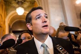 Democrats' Biggest 2014 Weapon: Ted Cruz
