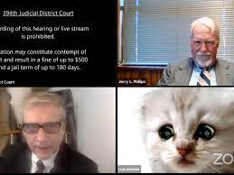 I'm prepared to go forward with it, attorney rod ponton told the judge while explaining that he and his assistant were struggling to remove the filter. Zoom Filter Traps This Lawyer As A Cute Cat During Live Court Hearing The Verge