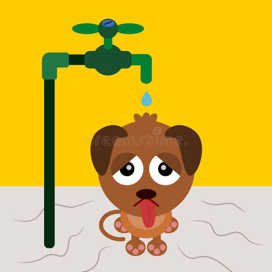 Thirsty dog