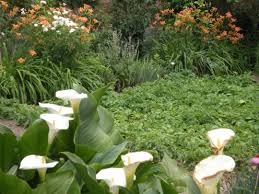 How to say garden in italian. A Secret Garden In Italy Finegardening