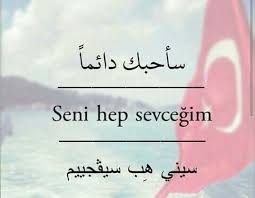 Pin On Polyglotism Multilinguism