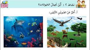 حيوانات متنوعة خصائص الحيوانات للصف الأول youtube