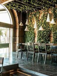 Keep it near a window, where it receives a lot of sun. Ask A Question Forum Living Wall Indoor Vines Garden Org