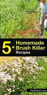 Pin On Best Of Tips Bulletin Cleaning Household Hacks Diy Crafts Natural Health Plants Gardening